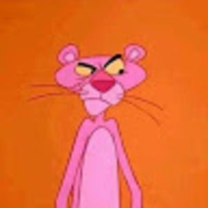 Meet your Posher, Laurie